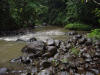 river and tropical hardwood Costa Rica